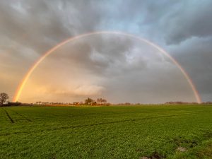 Regenbogen über Oythe
